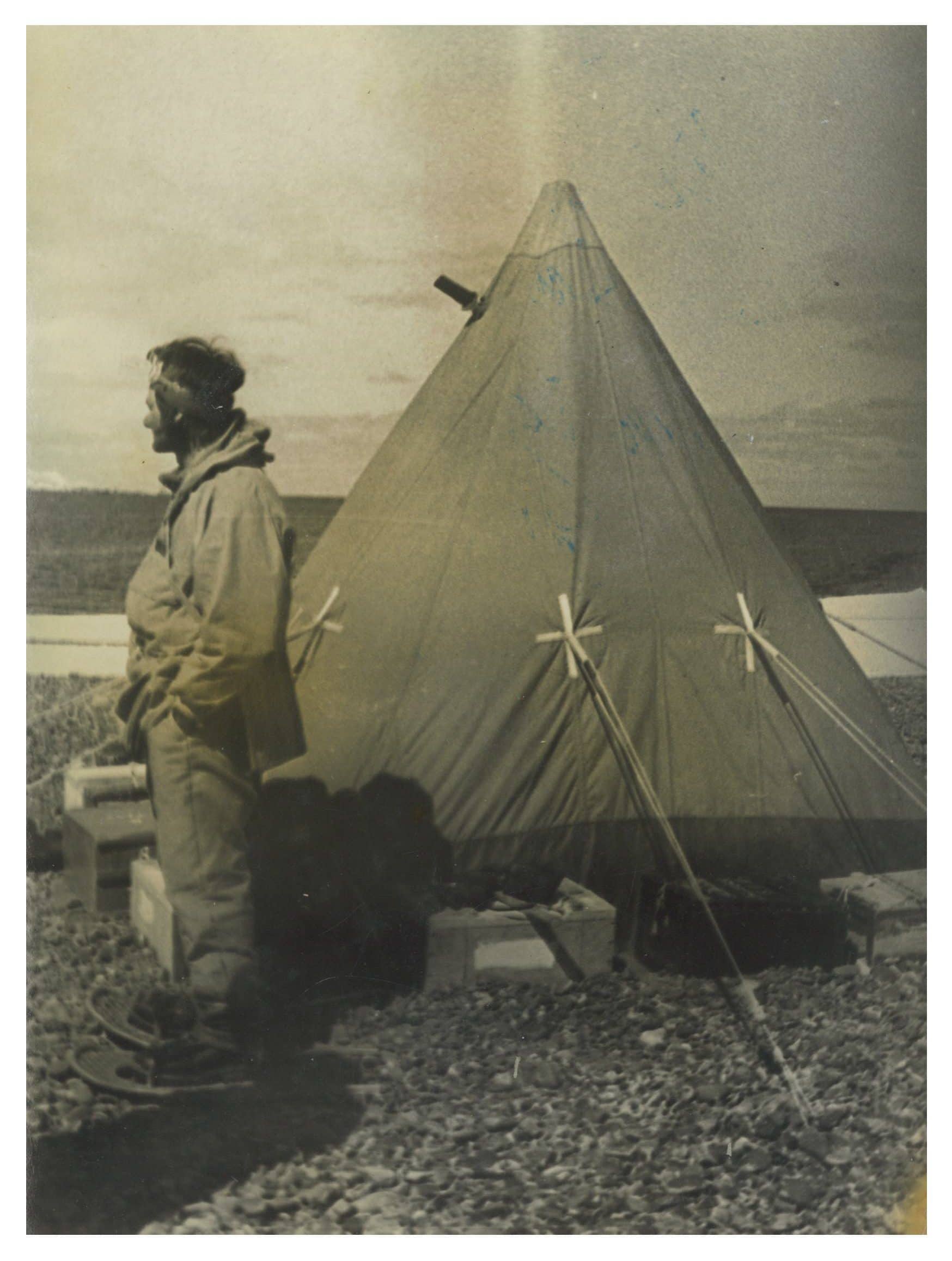 Author at Fildes Peninsula, King George Island, South Shetland Islands, Antarctic Peninsula